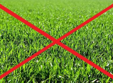 Zákaz ukládání trávy 1